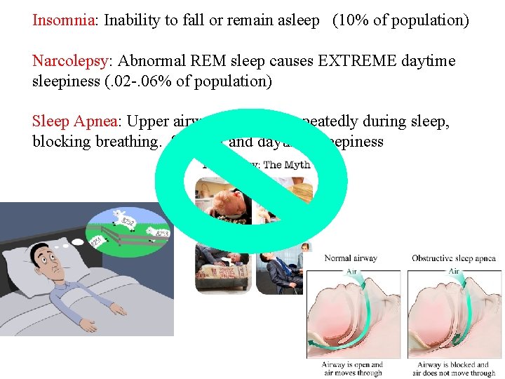 Insomnia: Inability to fall or remain asleep (10% of population) Narcolepsy: Abnormal REM sleep