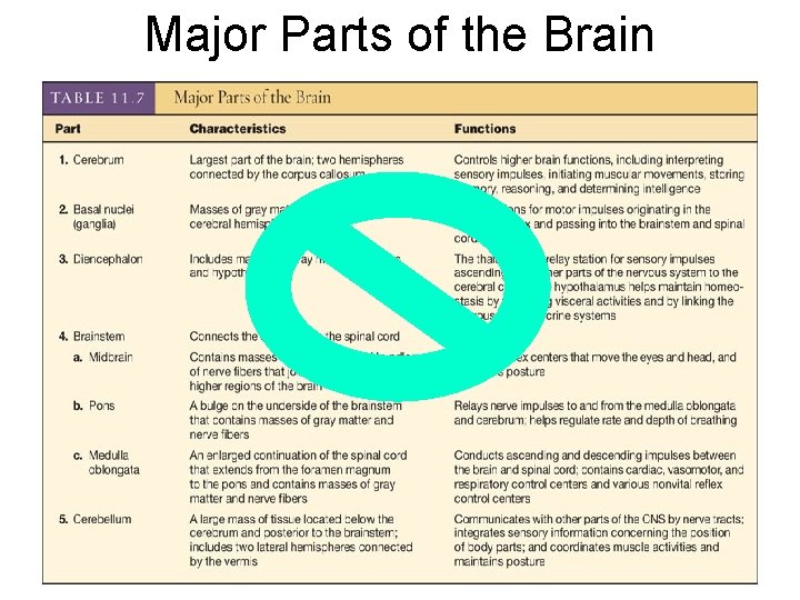 Major Parts of the Brain 44 