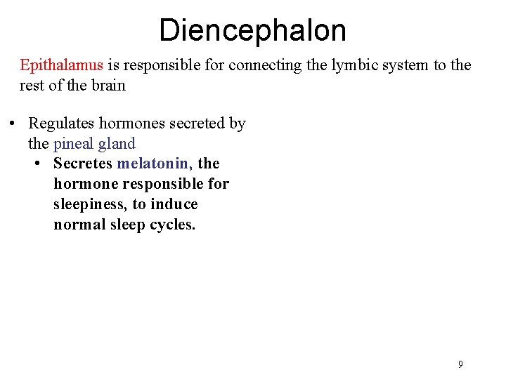 Diencephalon Epithalamus is responsible for connecting the lymbic system to the rest of the