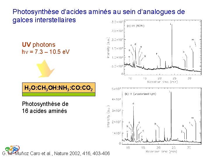 Photosynthèse d’acides aminés au sein d’analogues de galces interstellaires UV photons hn = 7. Photosynthèse d’acides aminés au sein d’analogues de galces interstellaires UV photons hn = 7.