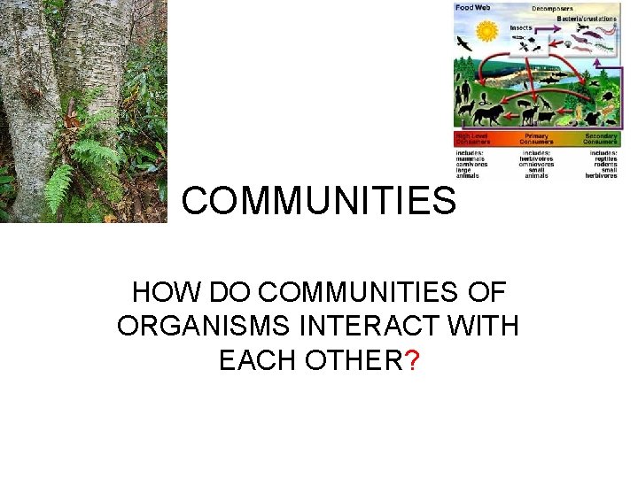 COMMUNITIES HOW DO COMMUNITIES OF ORGANISMS INTERACT WITH EACH OTHER? 