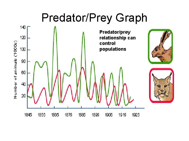 Predator/Prey Graph Predator/prey relationship can control populations 