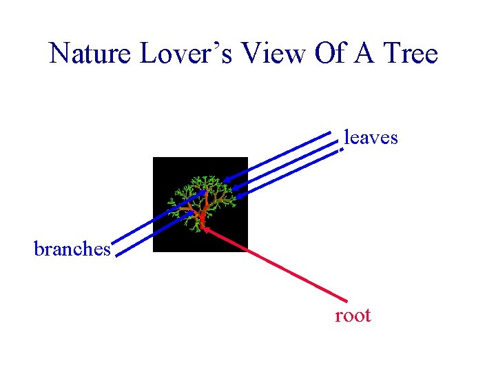 Nature Lover’s View Of A Tree leaves branches root Nature Lover’s View Of A Tree leaves branches root