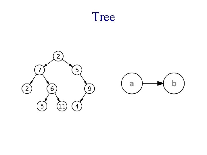 Tree Tree