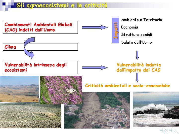 Gli agroecosistemi e le criticità Clima Vulnerabilità intrinseca degli ecosistemi Impatti Cambiamenti Ambientali Globali