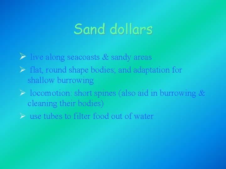 Sand dollars Ø live along seacoasts & sandy areas Ø flat, round shape bodies; Sand dollars Ø live along seacoasts & sandy areas Ø flat, round shape bodies;