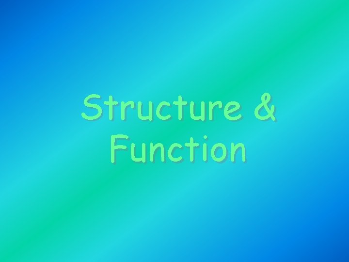 Structure & Function Structure & Function