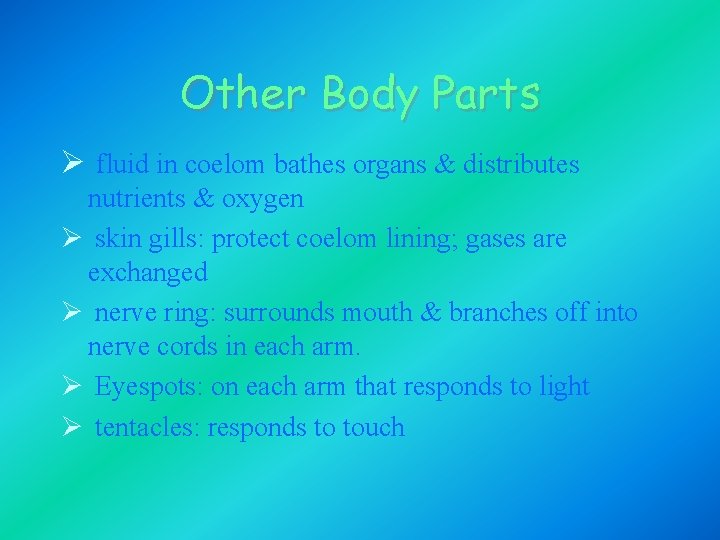 Other Body Parts Ø fluid in coelom bathes organs & distributes nutrients & oxygen Other Body Parts Ø fluid in coelom bathes organs & distributes nutrients & oxygen