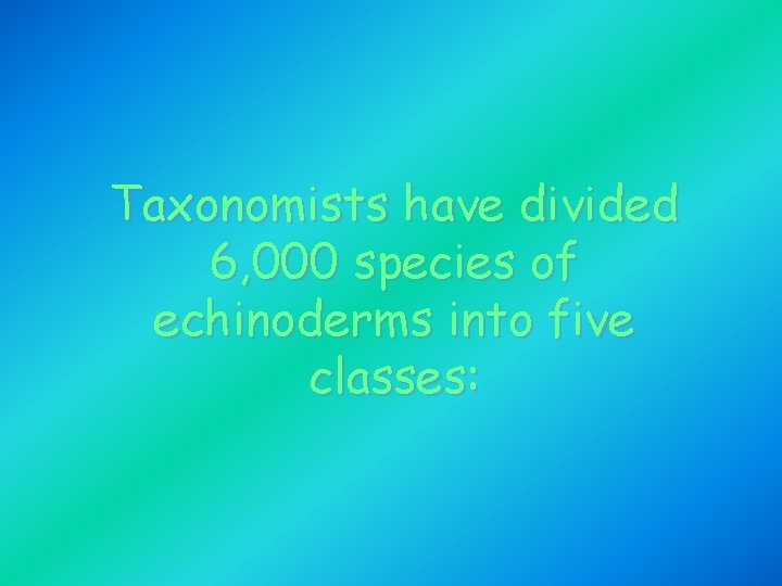 Taxonomists have divided 6, 000 species of echinoderms into five classes: Taxonomists have divided 6, 000 species of echinoderms into five classes:
