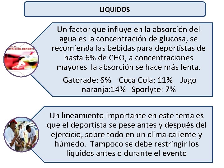 LIQUIDOS Un factor que influye en la absorción del agua es la concentración de