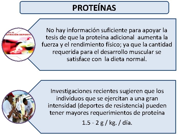 PROTEÍNAS No hay información suficiente para apoyar la tesis de que la proteína adicional