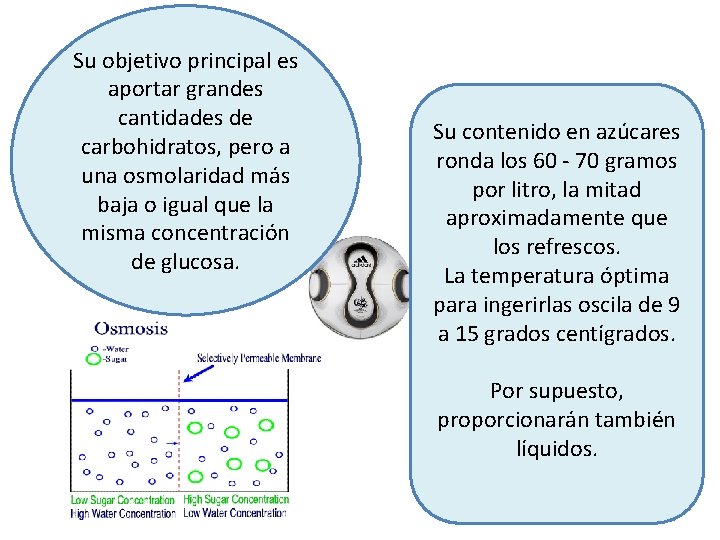 Su objetivo principal es aportar grandes cantidades de carbohidratos, pero a una osmolaridad más