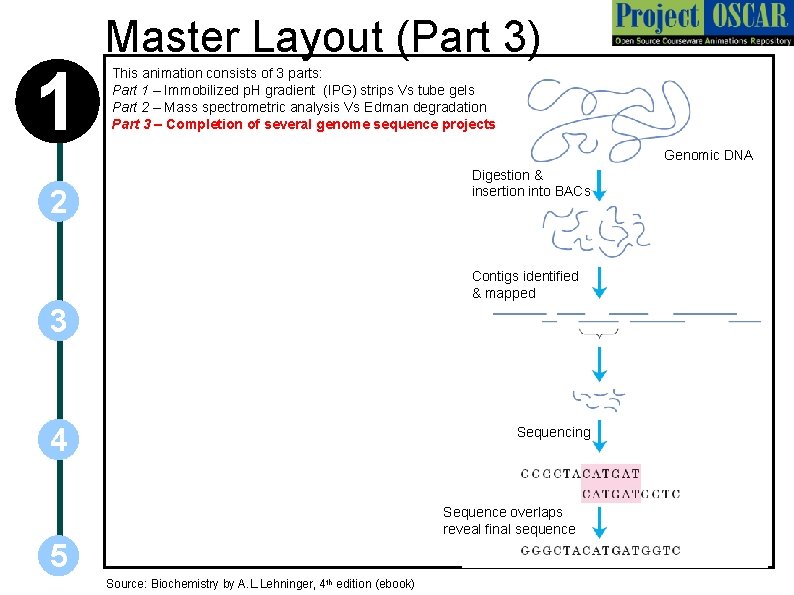 1 Master Layout (Part 3) This animation consists of 3 parts: Part 1 –