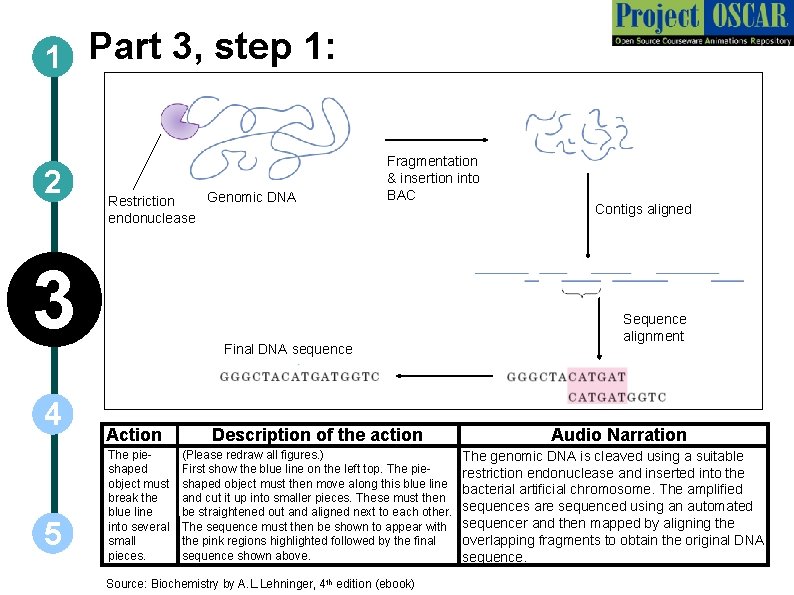 1 Part 3, step 1: 2 Genomic DNA Restriction endonuclease 3 4 5 Fragmentation