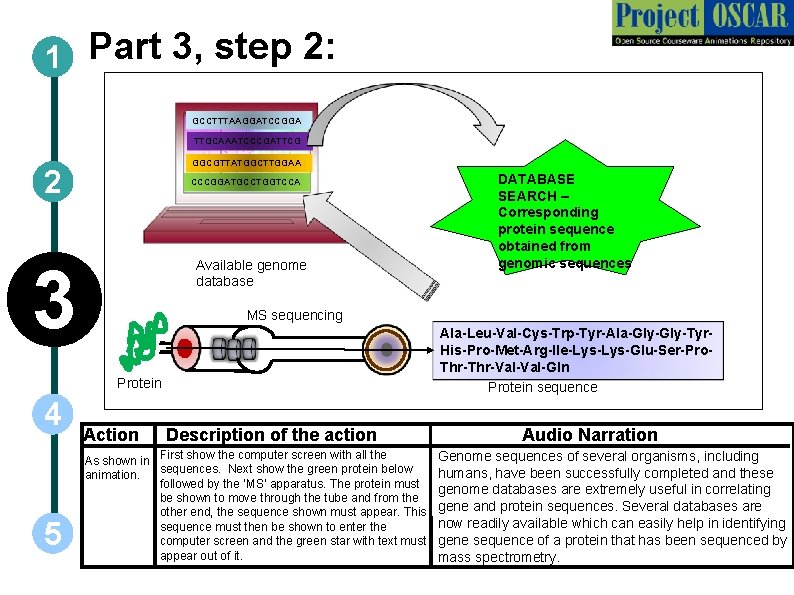 1 Part 3, step 2: GCCTTTAAGGATCCGGA TTGCAAATCCCGATTCG GGCGTTATGGCTTGGAA 2 CCCGGATGCCTGGTCCA 3 Available genome database