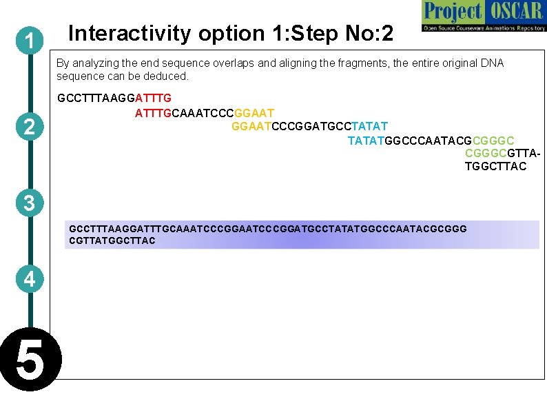 1 Interactivity option 1: Step No: 2 By analyzing the end sequence overlaps and