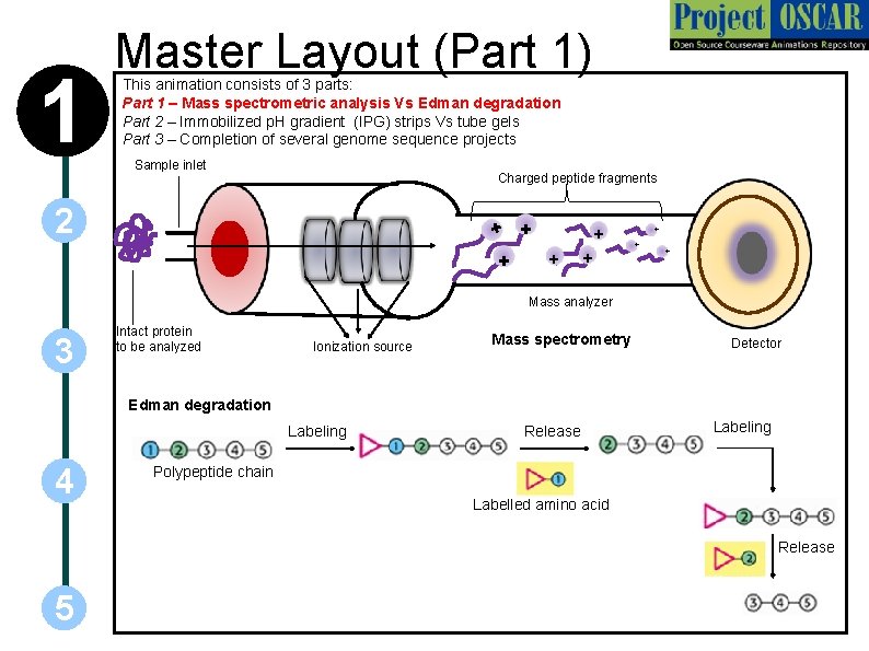 1 Master Layout (Part 1) This animation consists of 3 parts: Part 1 –