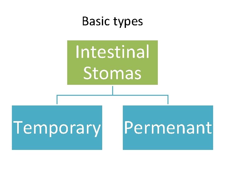 Basic types Intestinal Stomas Temporary Permenant 