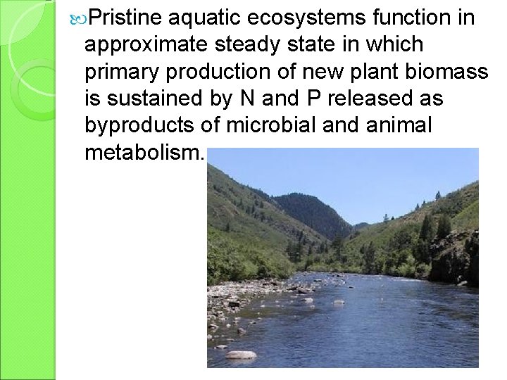  Pristine aquatic ecosystems function in approximate steady state in which primary production of