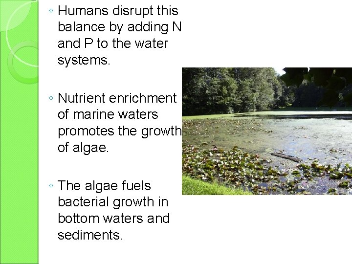 ◦ Humans disrupt this balance by adding N and P to the water systems.