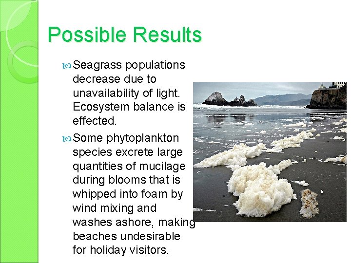 Possible Results Seagrass populations decrease due to unavailability of light. Ecosystem balance is effected.