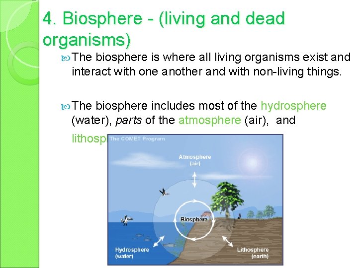 4. Biosphere - (living and dead organisms) The biosphere is where all living organisms