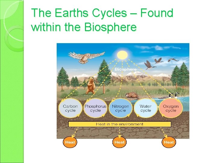 The Earths Cycles – Found within the Biosphere 