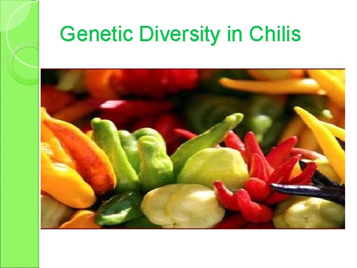 Genetic Diversity in Chilis 