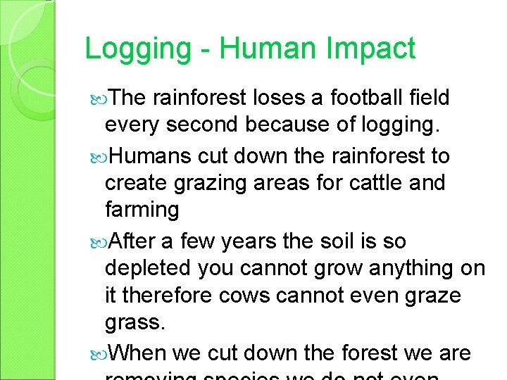 Logging - Human Impact The rainforest loses a football field every second because of