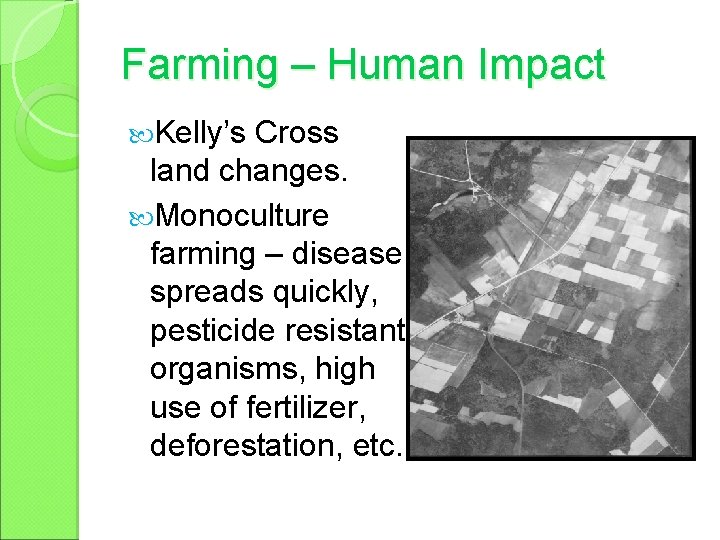 Farming – Human Impact Kelly’s Cross land changes. Monoculture farming – disease spreads quickly,