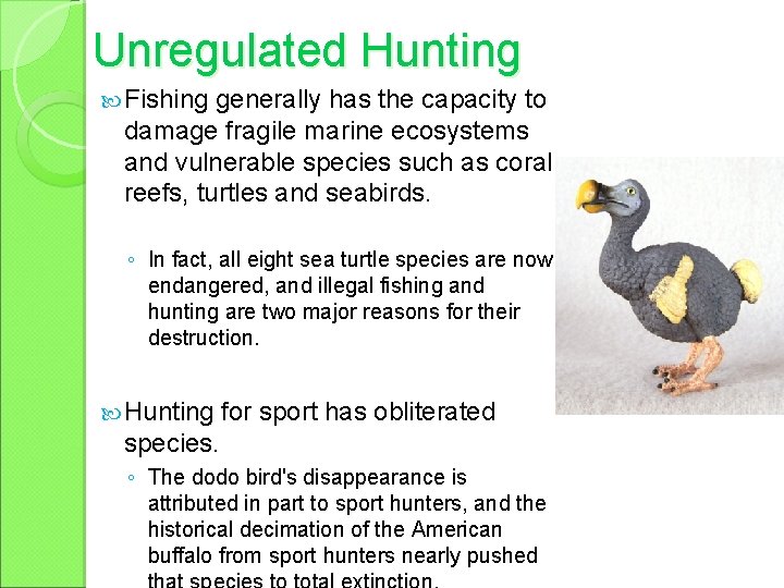 Unregulated Hunting Fishing generally has the capacity to damage fragile marine ecosystems and vulnerable