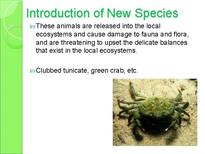 Introduction of New Species These animals are released into the local ecosystems and cause