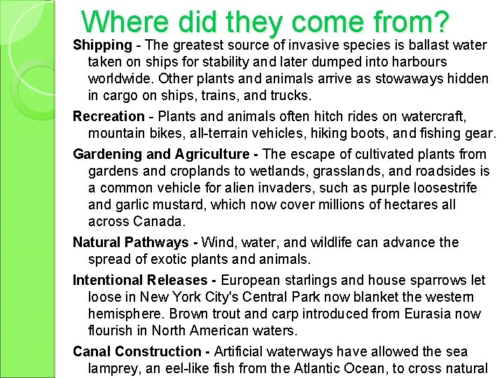 Where did they come from? Shipping - The greatest source of invasive species is