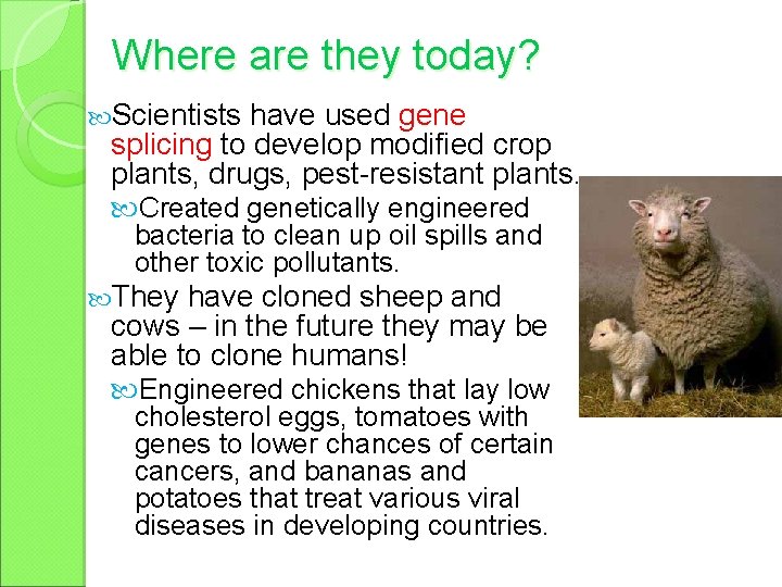 Where are they today? Scientists have used gene splicing to develop modified crop plants,