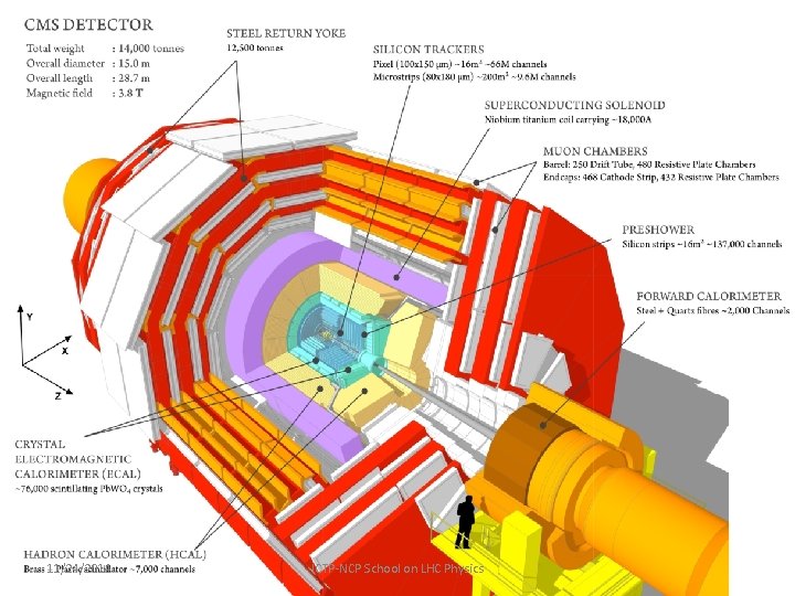 11/24/2014 ICTP-NCP School on LHC Physics 4 