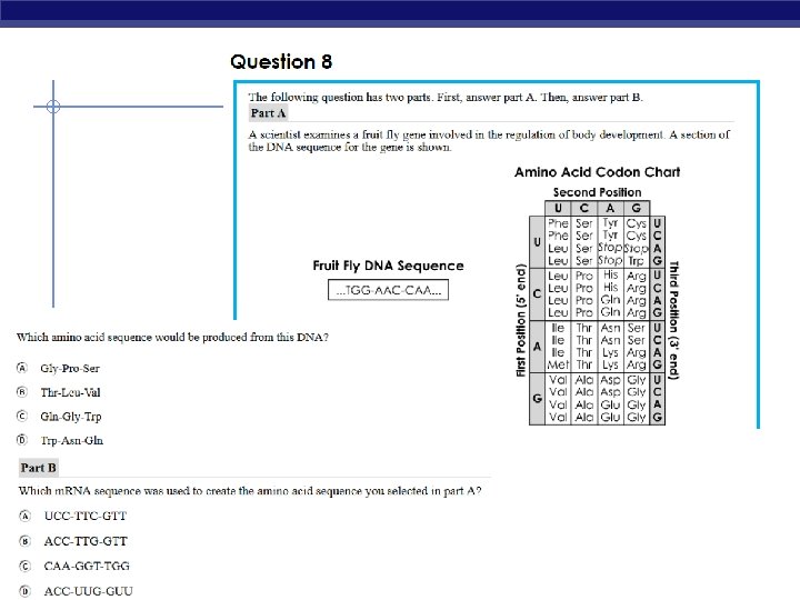 AP Biology 