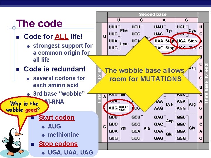 The code n Code for ALL life! strongest support for a common origin for