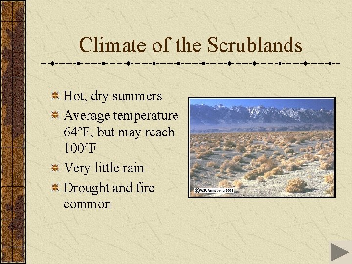 Climate of the Scrublands Hot, dry summers Average temperature 64°F, but may reach 100°F