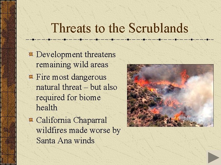 Threats to the Scrublands Development threatens remaining wild areas Fire most dangerous natural threat