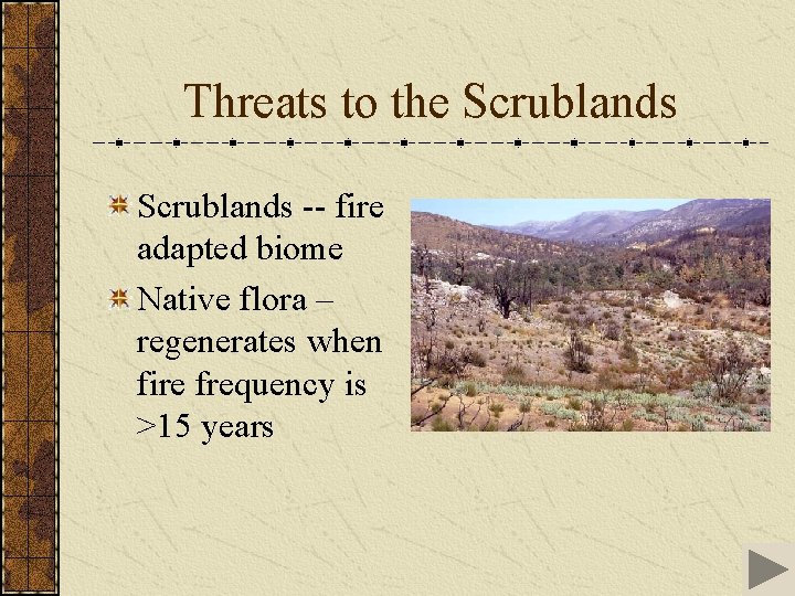 Threats to the Scrublands -- fire adapted biome Native flora – regenerates when fire