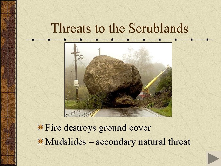 Threats to the Scrublands Fire destroys ground cover Mudslides – secondary natural threat 