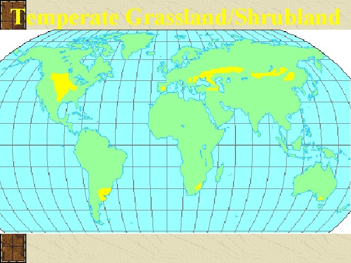 Temperate Grassland/Shrubland 