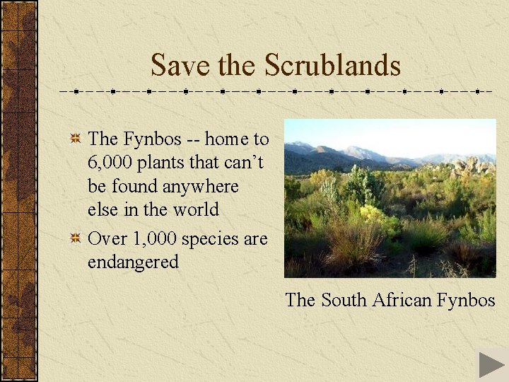 Save the Scrublands The Fynbos -- home to 6, 000 plants that can’t be