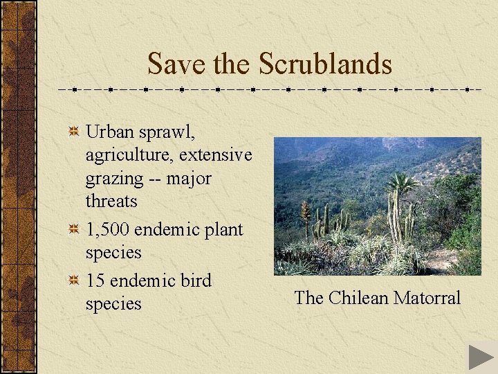 Save the Scrublands Urban sprawl, agriculture, extensive grazing -- major threats 1, 500 endemic