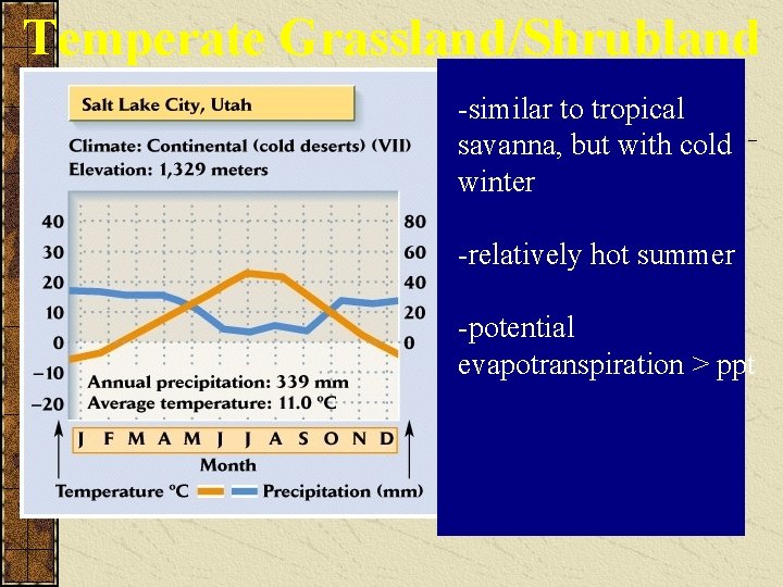 Temperate Grassland/Shrubland -similar to tropical savanna, but with cold winter -relatively hot summer -potential