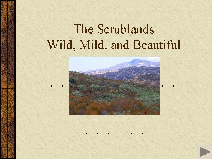 The Scrublands Wild, Mild, and Beautiful 