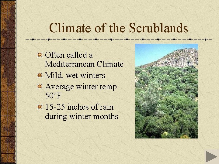 Climate of the Scrublands Often called a Mediterranean Climate Mild, wet winters Average winter