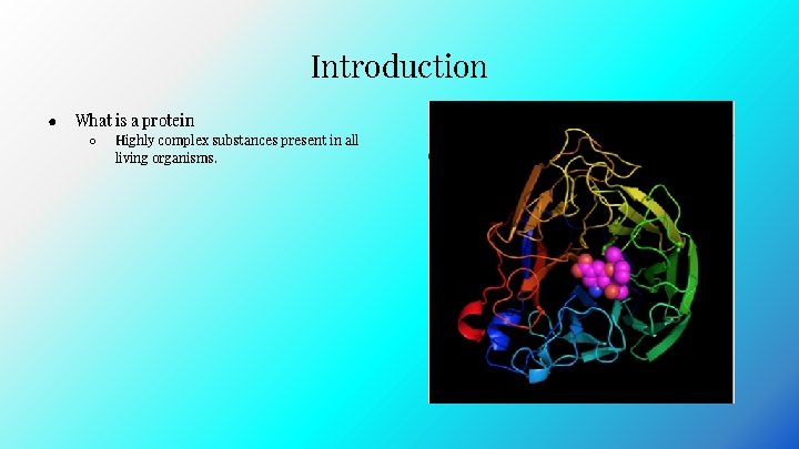 Introduction ● What is a protein ○ Highly complex substances present in all living Introduction ● What is a protein ○ Highly complex substances present in all living