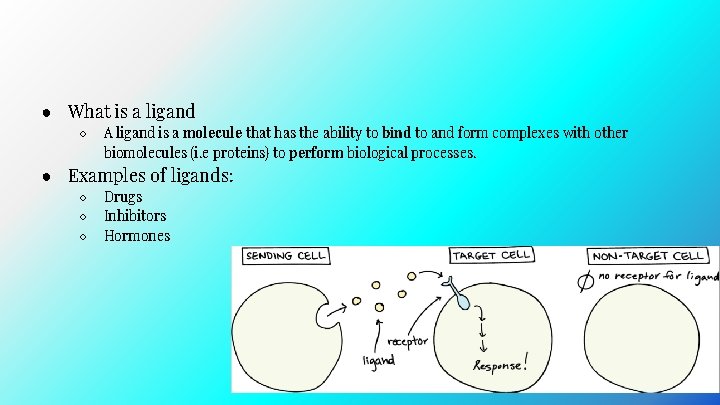 ● What is a ligand ○ A ligand is a molecule that has the ● What is a ligand ○ A ligand is a molecule that has the