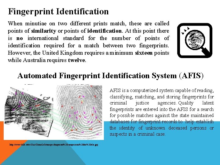 Fingerprint Identification When minutiae on two different prints match, these are called points of